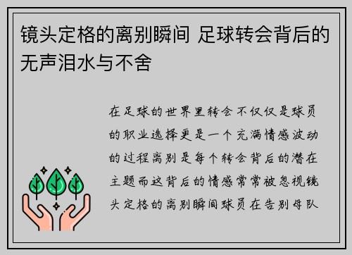 镜头定格的离别瞬间 足球转会背后的无声泪水与不舍 镜头定格的离别瞬间 足球转会背后的无声泪水与不舍